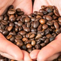 El Café en Crisis: Expertos Alertan un Alza de Hasta un 25% en su Precio