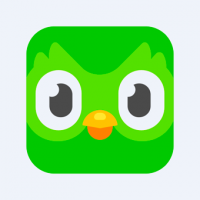 OFICIAL: Murió el búho de Duolingo