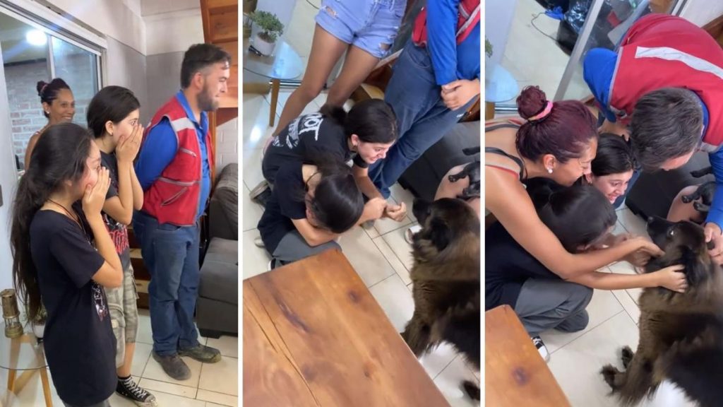 Familia se reencuentra con su perrita tras 4 años