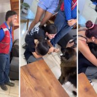 Familia se reencuentra con su perrita tras 4 años