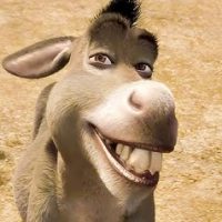 ¡Ya para 2025! Fallece burrito que inspiro al icónico personaje de Shrek