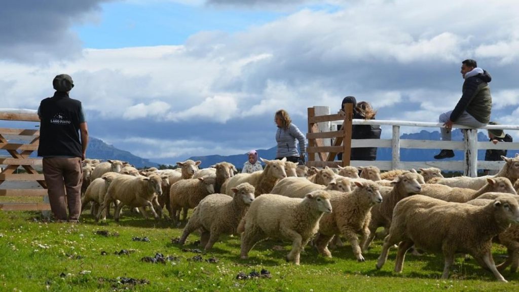 Jarita quedó loco con Puerto Natales: “Me sentí como en Escocia o en Gales, es muy parecido”