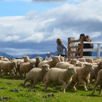 Jarita quedó loco con Puerto Natales: "Me sentí como en Escocia o en Gales, es muy parecido"