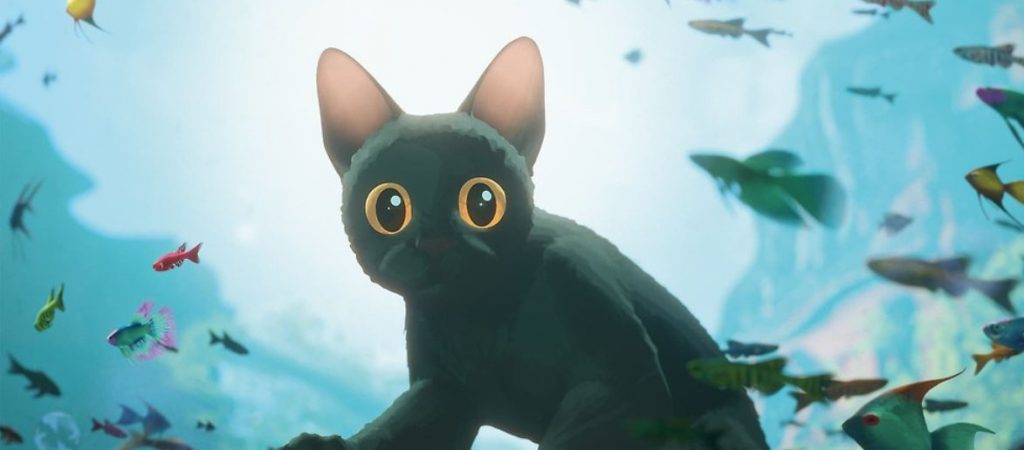 Adopción de gatos negros aumenta tras el éxito de la película “Flow”