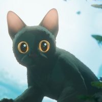 Gato narco: Capturan felino con droga adherida a su cuerpo en Costa Rica