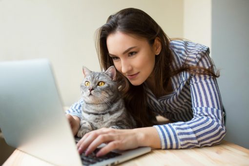 Fue el empujoncito que necesitaba: Gato envió carta de renuncia de su dueña por accidente