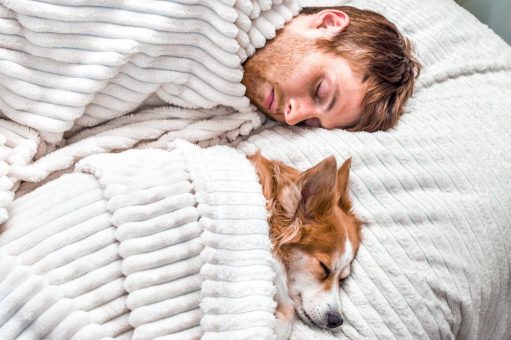Tu perro podría reconocer a quienes no se portan bien contigo