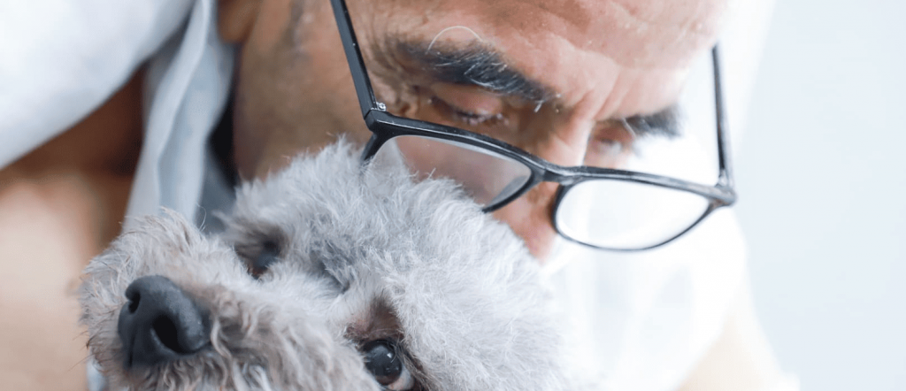 Hospital Clínico de la U. de Chile abre las puertas a las mascotas