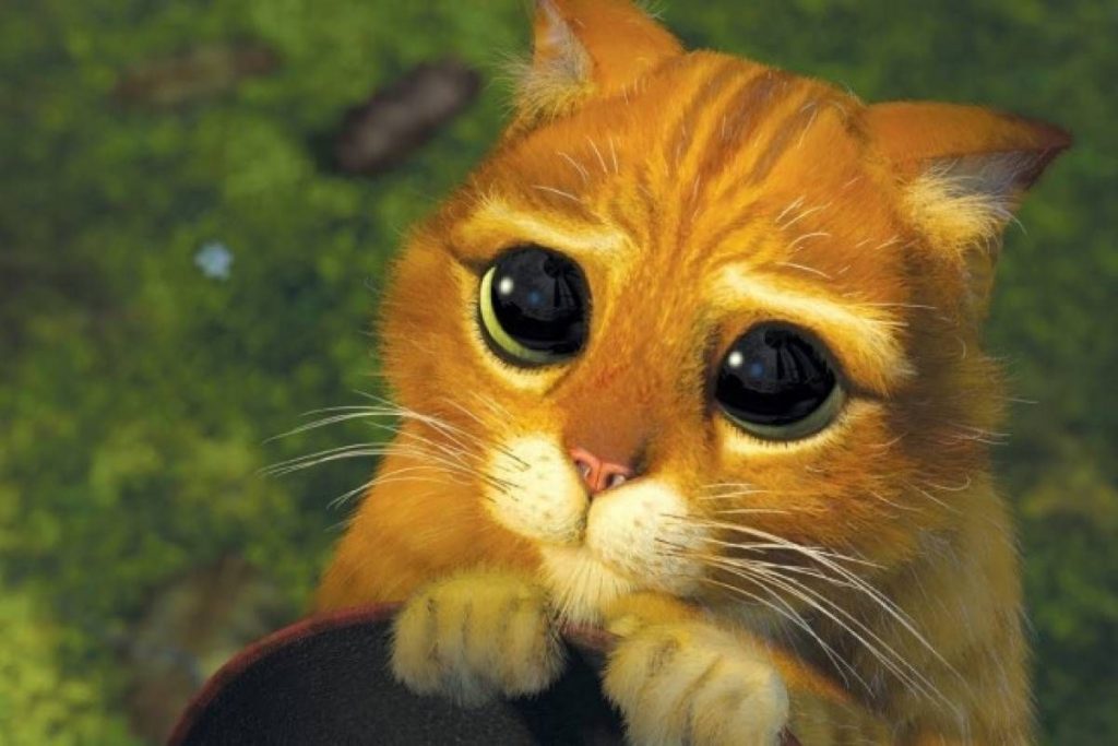 Un estudio afirma que los gatos son expertos en manipular a sus dueños