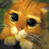 Un estudio afirma que los gatos son expertos en manipular a sus dueños