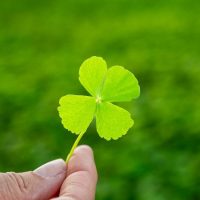 ¿Qué te da buena o mala suerte? - Tumba la Casa