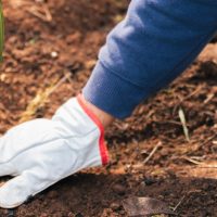 ¡VIÑA 2025 cumple su compromiso con el medio ambiente!