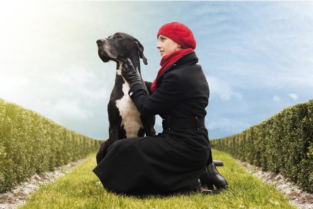 Estudio revela que los perros realmente adoptan rasgos físicos y de personalidad de sus dueños