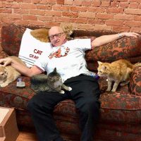 Adulto mayor en China ofrece su herencia a quien cuide a su gato tras su muerte