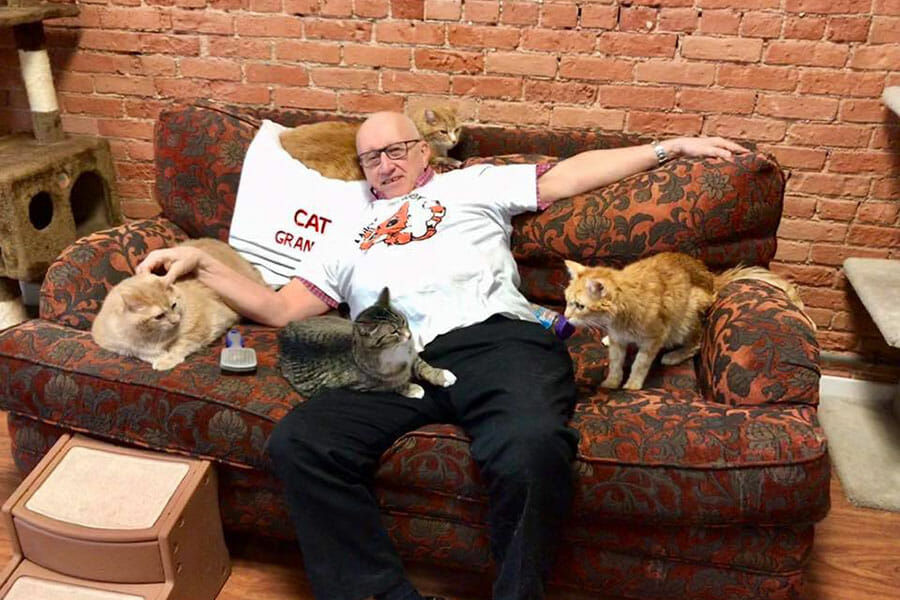 Adulto mayor en China ofrece su herencia a quien cuide a su gato tras su muerte