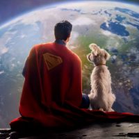 Impacto inesperado: adopciones de perros se disparan tras estreno de la nueva película de Superman