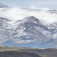 Hombre muere de frío en Argentina tras negarse a dejar a su perrito