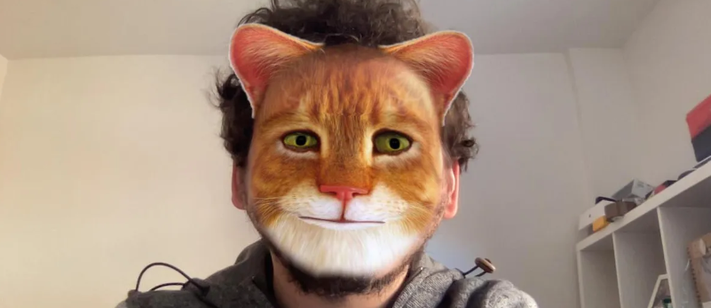 Abogado se presentó a un juicio virtual con filtro de gato