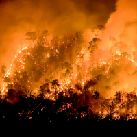 No fueron piedras: bomberos denunciaron disparos durante combate de incendios