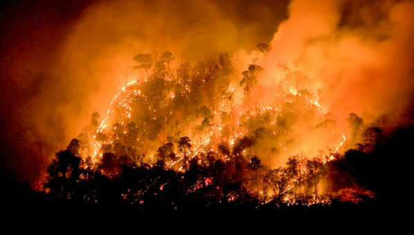 No fueron piedras: bomberos denunciaron disparos durante combate de incendios