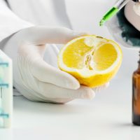 Formas de identificar ingredientes vegetales en productos de consumo en Chile