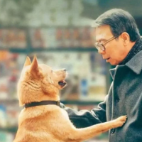 Perro se queda junto al cuerpo de su dueño tras accidente fatal