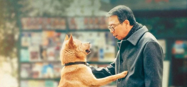 Perro se queda junto al cuerpo de su dueño tras accidente fatal