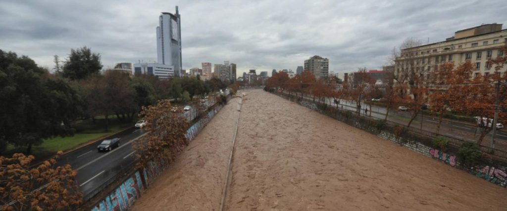 El Mapocho tiene vida: captan colonia de bagrecitos