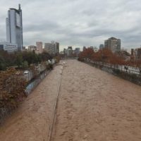 El Mapocho tiene vida: captan colonia de bagrecitos