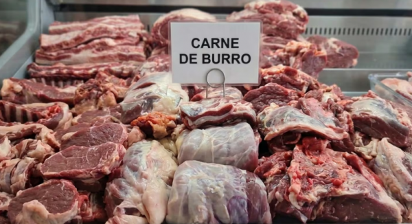 En Argentina venden carne de burro ante la crísis económica