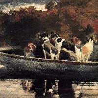 Perritos salieron a dar una vuelta en bote: tuvieron que ser rescatados