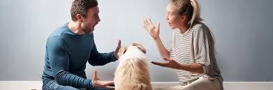 Brasil aprueba custodia compartida de mascotas