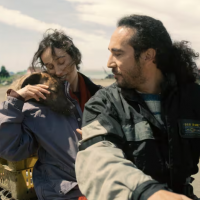 Perrita quiltra chilena fue premiada en Cannes 2026