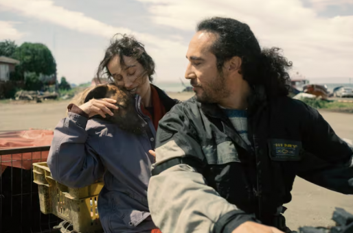 Perrita quiltra chilena fue premiada en Cannes 2026