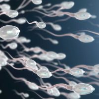 Alerta por el "Tinder del semen": El peligroso mercado ilegal de la fertilidad
