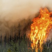 Incendios en Canadá ponen en duda la final del Mundial
