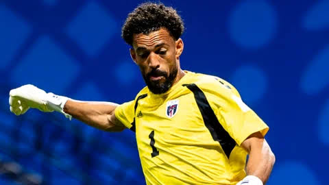 ¿Se cayó la llega de vozinha a colo-colo?