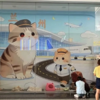 Aeropuerto contrató a tres gatos como "controladores de plagas"