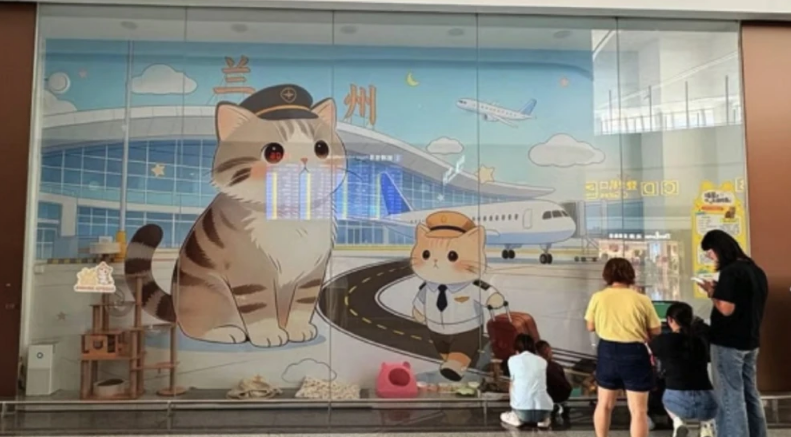 Aeropuerto contrató a tres gatos como “controladores de plagas”
