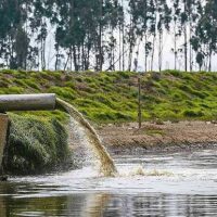 Consumo de cocaína se dispara más de un 1000% en el Biobío