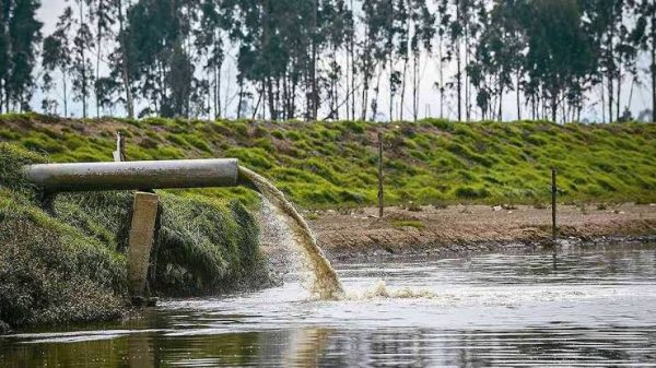 Consumo de cocaína se dispara más de un 1000% en el Biobío