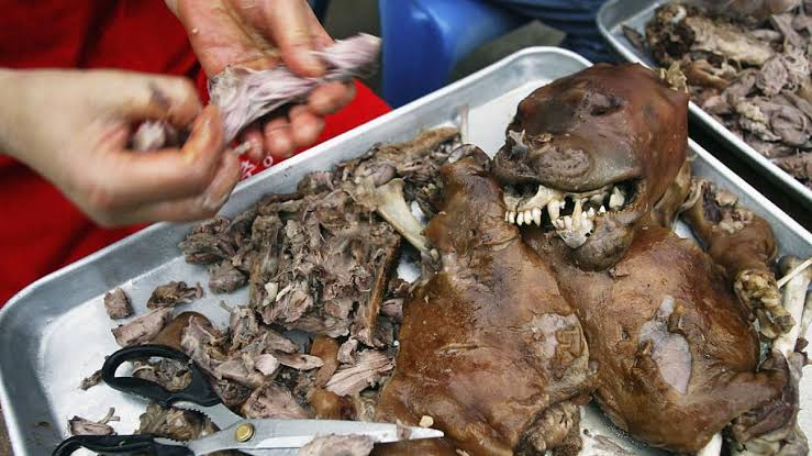 Corea del Sur vive sus últimos días de carne de perro antes de la prohibición