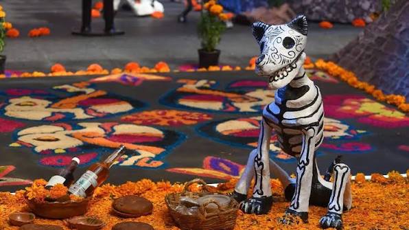 27 de octubre: Día para recordar a nuestras Mascotas Fallecidas
