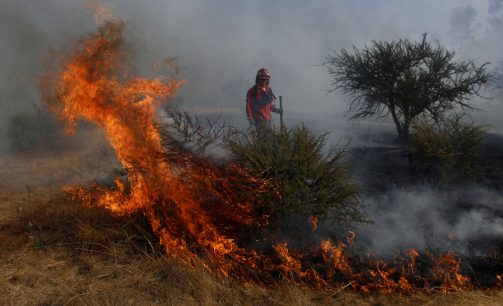 Incendios forestales: Onemi reporta 18 focos activos