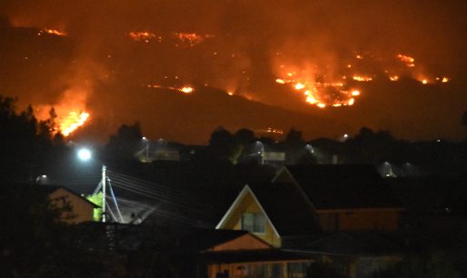 Onemi entrega reporte por incendios forestales en el país