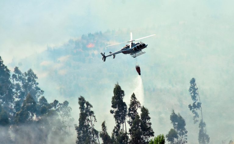 Incendios forestales: Decretan zona de catástrofe en tres regiones del país