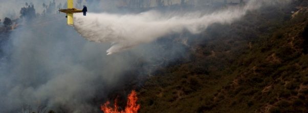 Onemi entregó nuevo balance por incendios forestales en el país