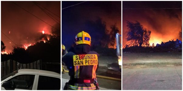 Onemi decretó alerta amarilla en Provincia de Concepción por incendios forestales