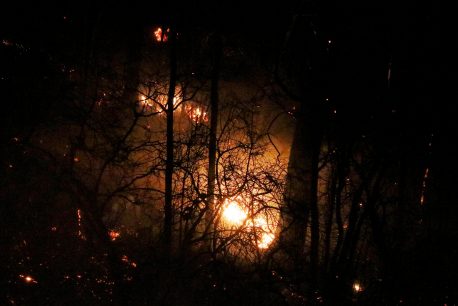 Gobierno anuncia el control de incendios en Biobío