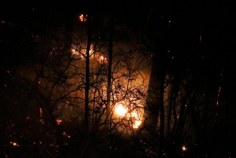 Gobierno anuncia el control de incendios en Biobío